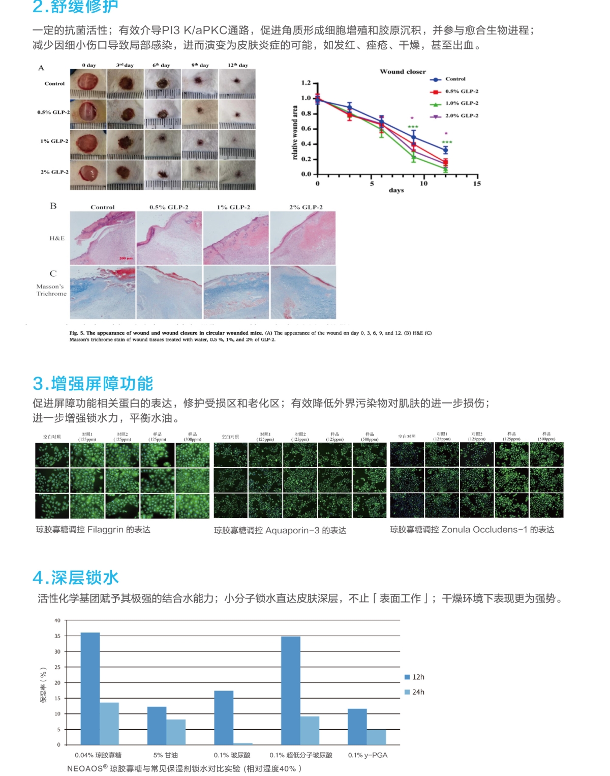 NEOAOS?瓊膠寡糖